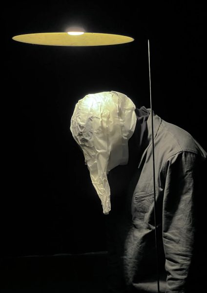 Insula
