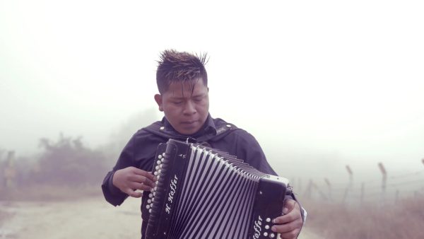 Koede