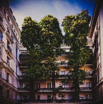 Wald (de Miriam V. Lesch)